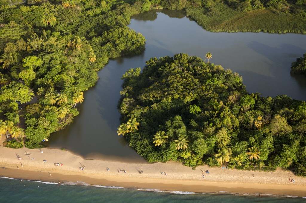 L1002829 - Guadeloupe Deshaies