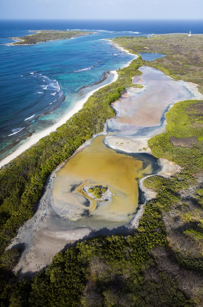 L1005458 - Guadeloupe Terre de bas