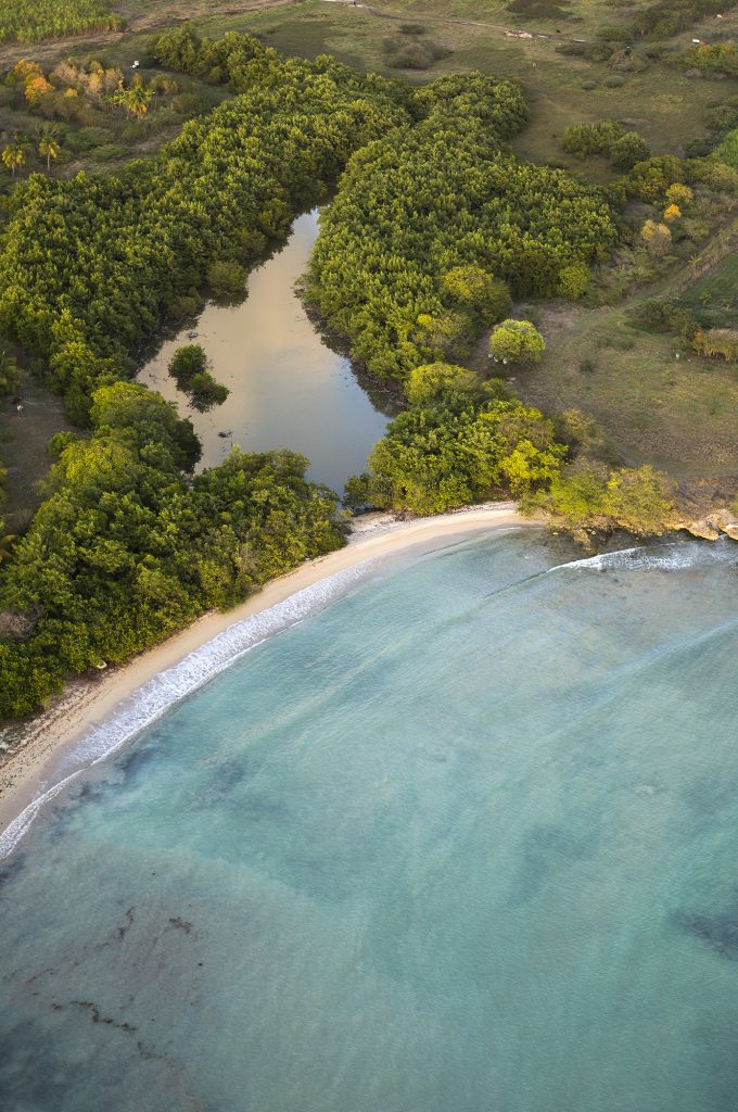 L1008079 - Guadeloupe Marie-Galante Grand Bourg