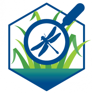 logo baladOmarais