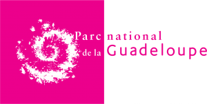 Logo-PNG
