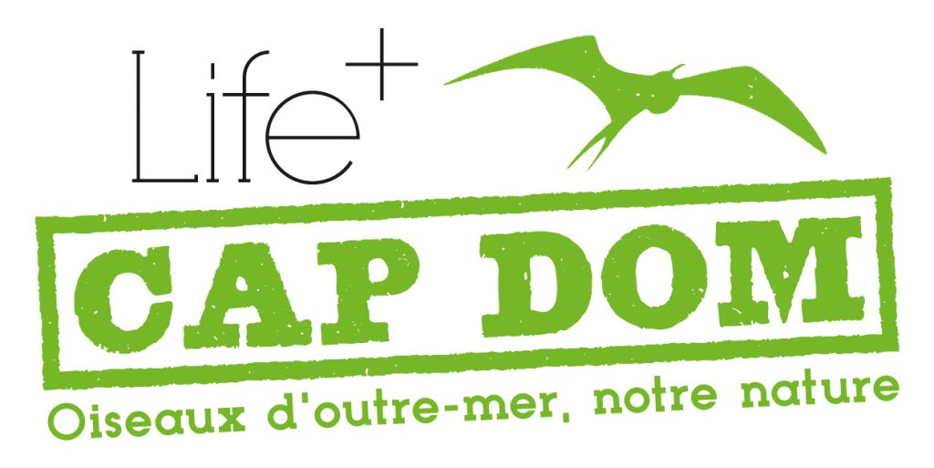 CapDOM_LogoFdBlanc