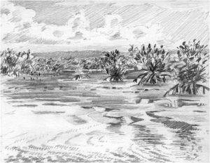 Image1