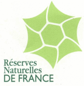 RNF