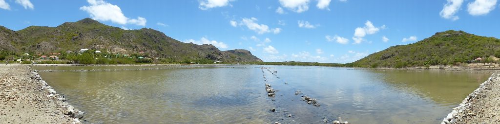 St Barthelemy Grande Saline Olivier Raynaud (2)