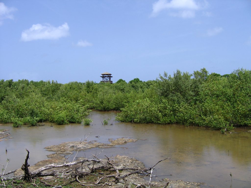 MARAIS PORT LOUIS CDL (3)