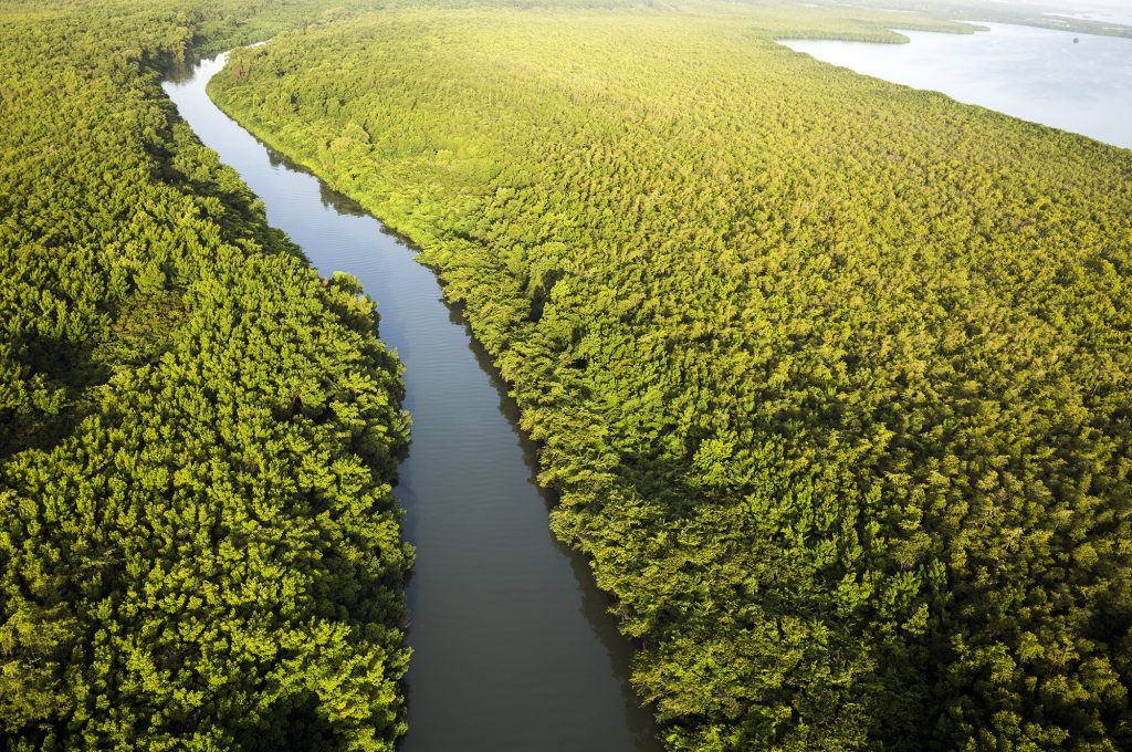 Grand Rivière Goyave Frederic Larrey