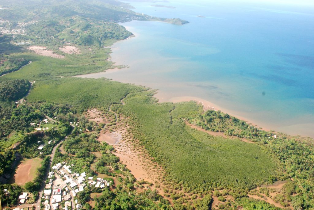 © Caroline Cremades Mangrove de Dzoumogné (© Caroline Cremades)