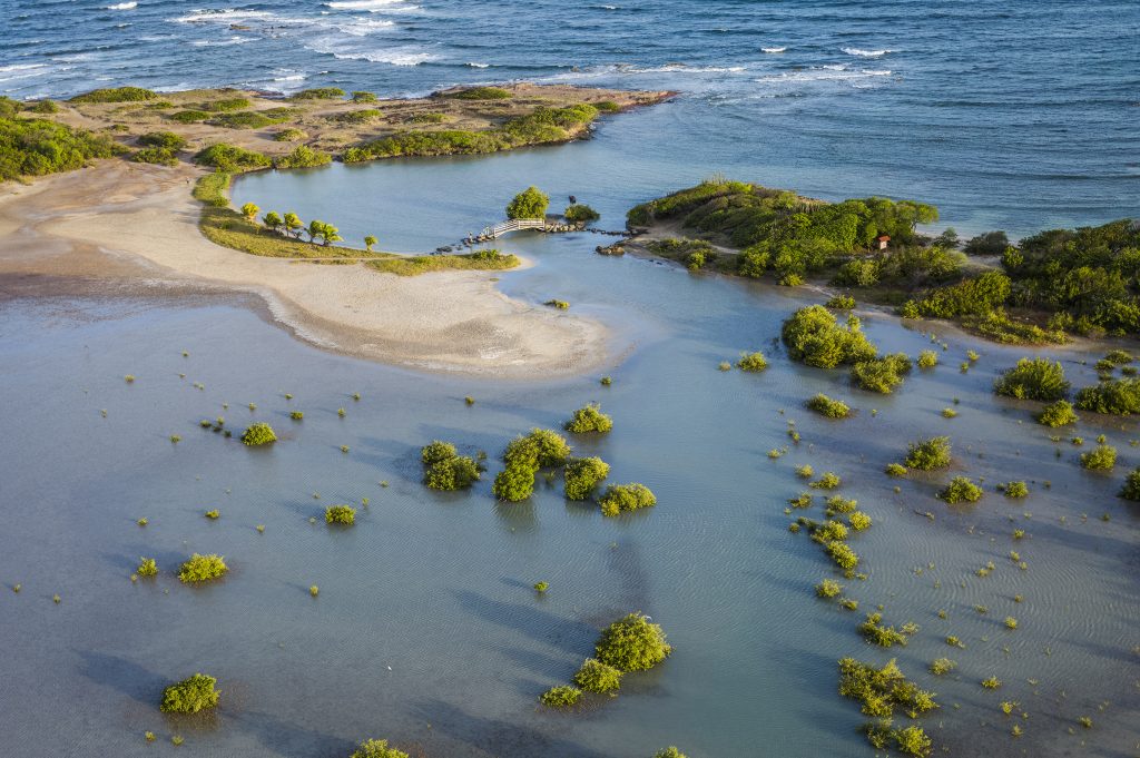 Martinique Etang des Salines Larrey