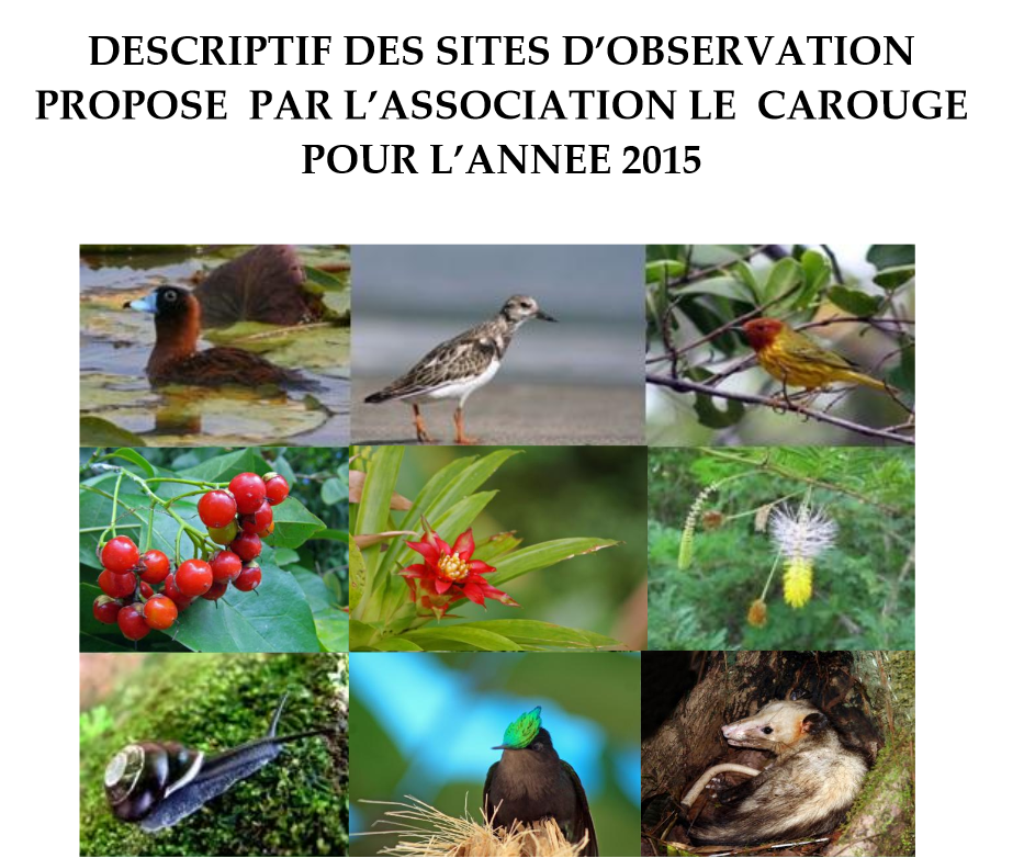 descriptif