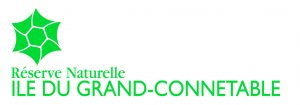 logo connetable 300 dpi