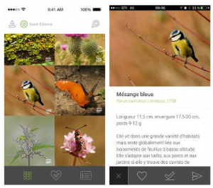 aperçu de l'application