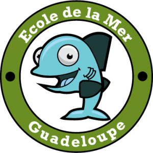 ecole_de_la_mer_guadeloupe