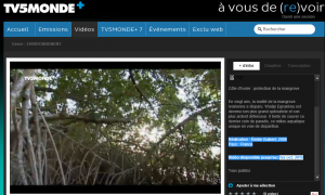 Sans titre