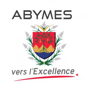 logo_abymes_-_vers_lexcellence
