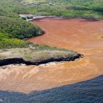 Crédit : DEAL Martinique -Préfecture SIDPG