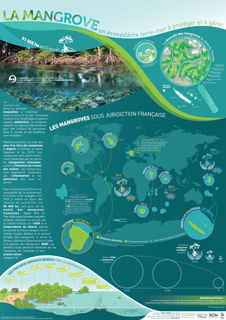 MangroveSIG2019_OlivierDebuf_vect_A0
